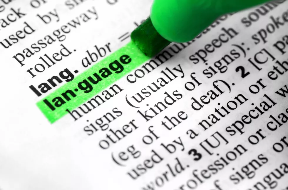 close-up-language-word-concept-definition-highlighting-dictionary